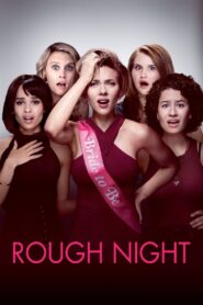Rough Night 2017 on netflix