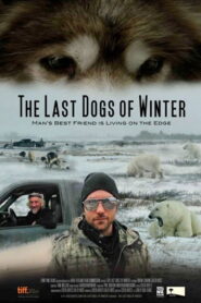 The Last Dogs of Winter 2012 on netflix