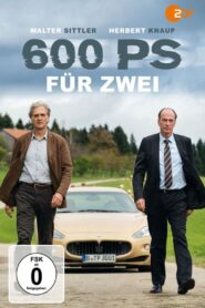 600 PS für zwei 2015 on netflix