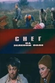 Snow on a Green Field 1981 on netflix