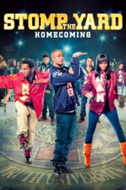 Stomp the Yard 2: Homecoming 2010 on netflix
