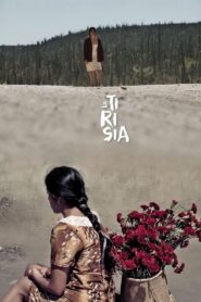 Perpetual Sadness 2014 on netflix