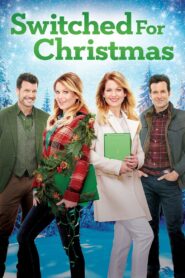 Switched for Christmas 2017 on netflix