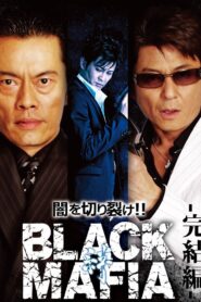 Black Mafia 2008 on netflix