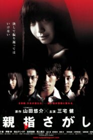 Vanished 2006 on netflix