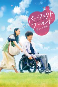 Perfect World 2018 on netflix