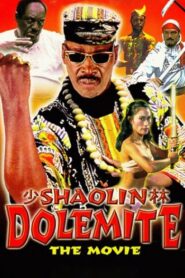 Shaolin Dolemite 1999 on netflix