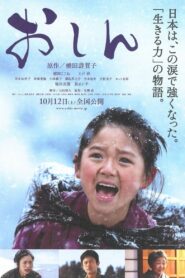 Oshin 2013 on netflix