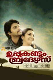 Uppukandam Brothers Back In Action 2011 on netflix