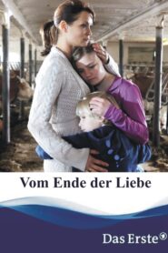 Vom Ende der Liebe 2011 on netflix