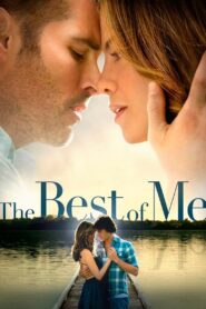 The Best of Me 2014 on netflix