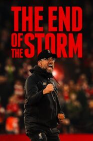 The End of the Storm 2020 on netflix