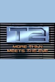 T2: More Than Meets the Eye 1993 on netflix