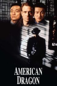American Dragons 1998 on netflix