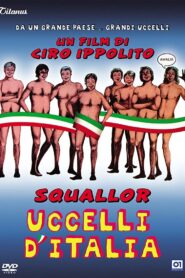 The Birds of Italy 1984 on netflix