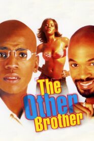 The Other Brother 2002 on netflix