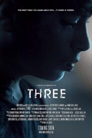 Three 2024 on netflix