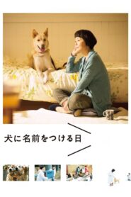 Dogs Without Names 2015 on netflix
