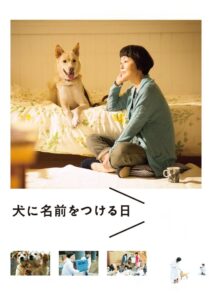 Dogs Without Names 2015 on netflix