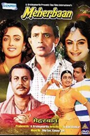 Meherbaan 1993 on netflix