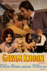 Garam Khoon 1980 on netflix