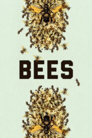 Bees 1998 on netflix