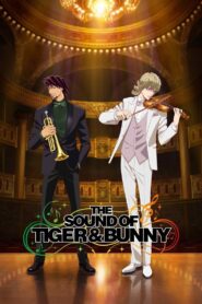 The Sound of Tiger & Bunny 2015 on netflix