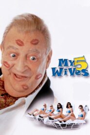 My 5 Wives 2000 on netflix
