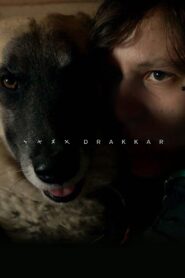 Drakkar 2015 on netflix