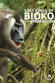 Lost Kings of Bioko 2019 on netflix