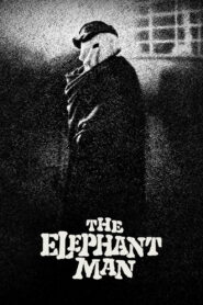 The Elephant Man 1980 on netflix