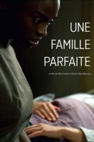 Une famille parfaite 2006 on netflix