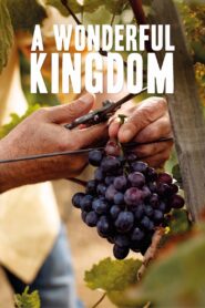 A Wonderful Kingdom 2021 on netflix