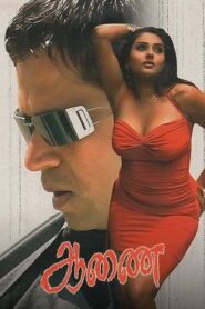 Aanai 2005 on netflix