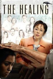The Healing 2012 on netflix
