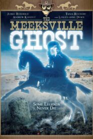 The Meeksville Ghost 2001 on netflix