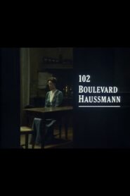102 Boulevard Haussmann 1990 on netflix