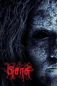 Pisaasu 2014 on netflix