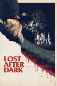 Lost After Dark 2014 on netflix