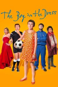 The Boy in the Dress 2014 on netflix