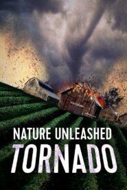 Nature Unleashed: Tornado 2005 on netflix