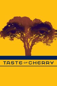 Taste of Cherry 1997 on netflix