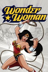Wonder Woman 2009 on netflix