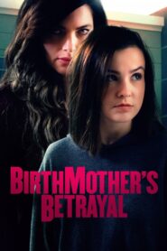 Birthmother’s Betrayal 2020 on netflix
