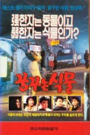 Dreaming Plant 1990 on netflix