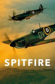 Spitfire 2018 on netflix