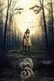 Neeli 2018 on netflix