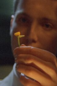 The Man Who Loved Flowers 2004 on netflix