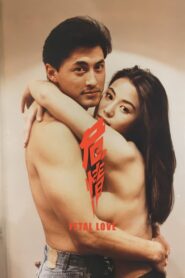 Fatal Love 1993 on netflix