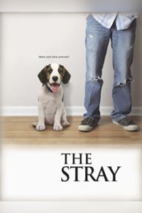 The Stray 2012 on netflix